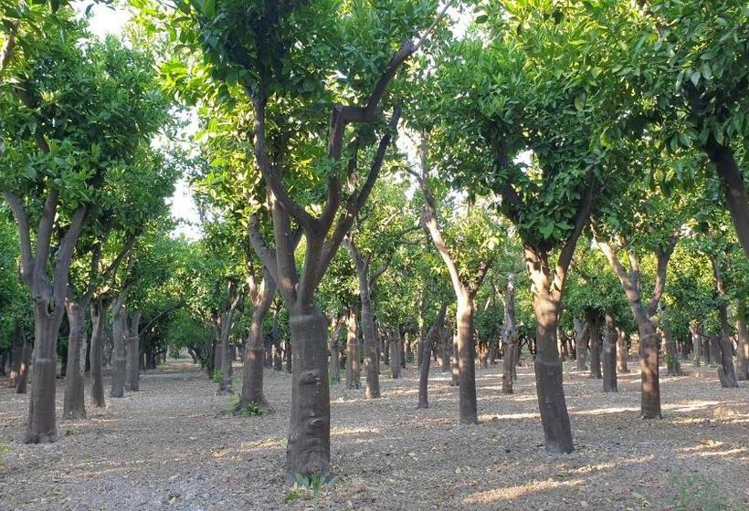 فندق Arhodico Simou Mansion