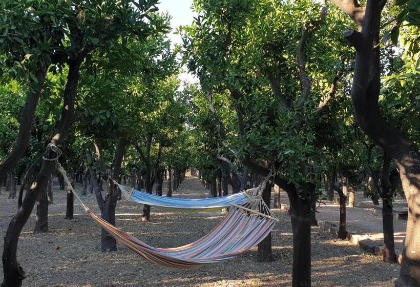 فندق Arhodico Simou Mansion