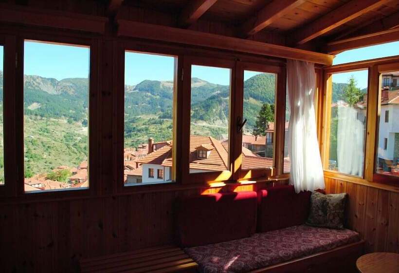 בית מלון כפרי Asteri Metsovou