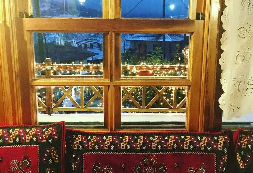 호텔 Asteri Metsovou