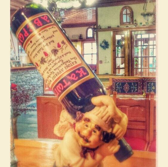 호텔 Asteri Metsovou