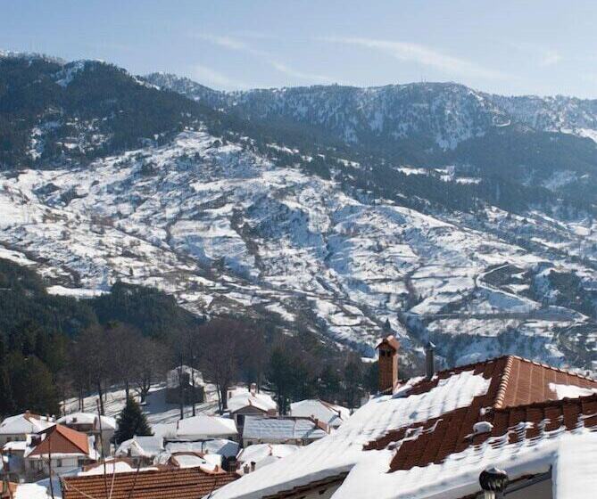 호텔 Asteri Metsovou