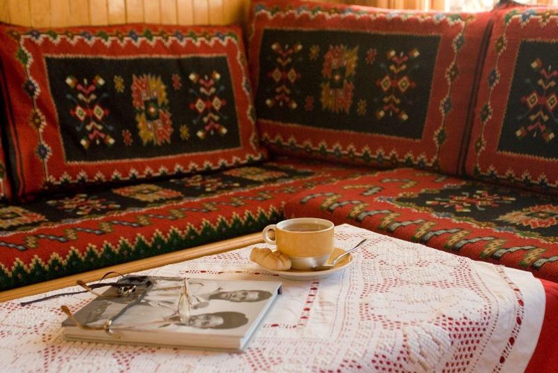 호텔 Asteri Metsovou