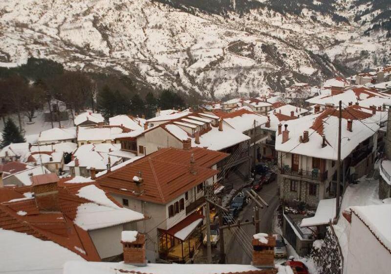 호텔 Asteri Metsovou