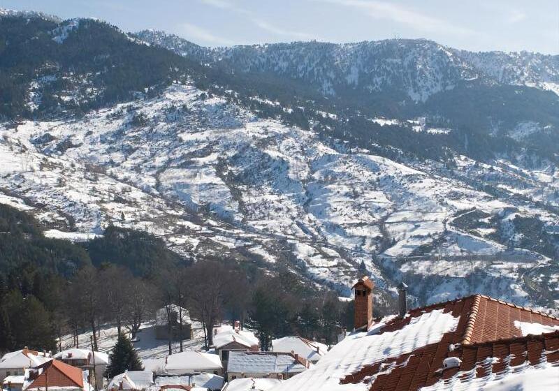 בית מלון כפרי Asteri Metsovou