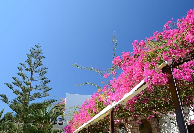 בית מלון כפרי Asteri