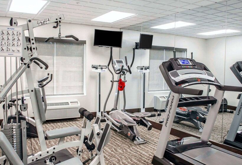 فندق Comfort Inn & Suites