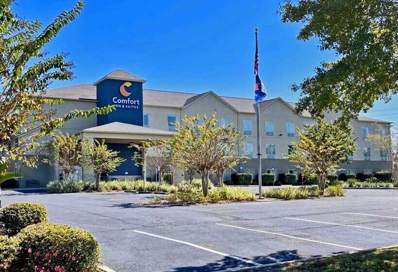 فندق Comfort Inn & Suites