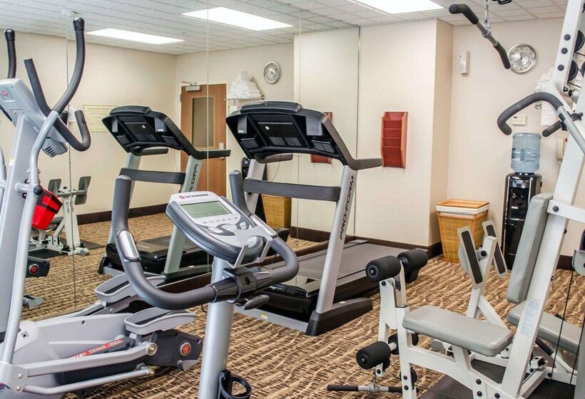 فندق Comfort Inn & Suites