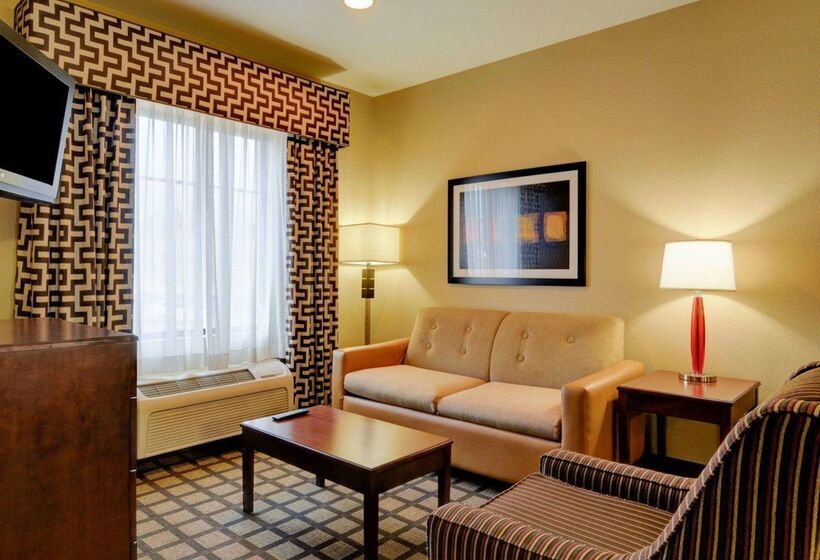 هتل Comfort Inn & Suites Fort Smith I540