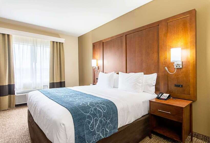 فندق Comfort Inn & Suites Pine Bluff