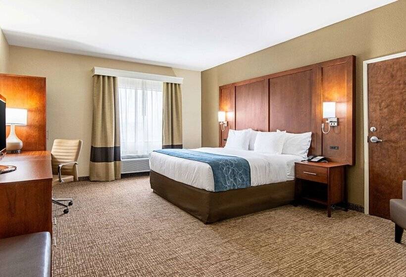 فندق Comfort Inn & Suites Pine Bluff