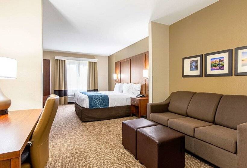 فندق Comfort Inn & Suites Pine Bluff