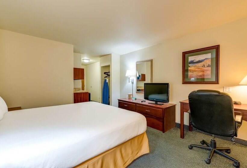 فندق Grand River