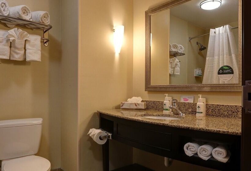فندق Greentree Inn And Suites Florence, Az