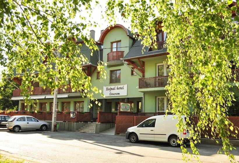 בית מלון כפרי Hajnal