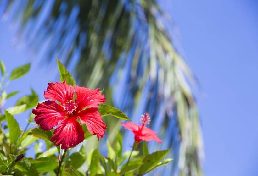 فندق Ishigaki Seaside