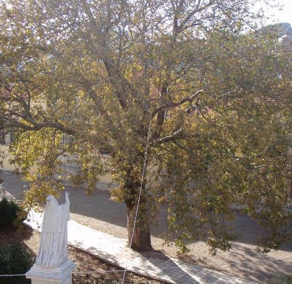 酒店 Guesthouse Kazakou