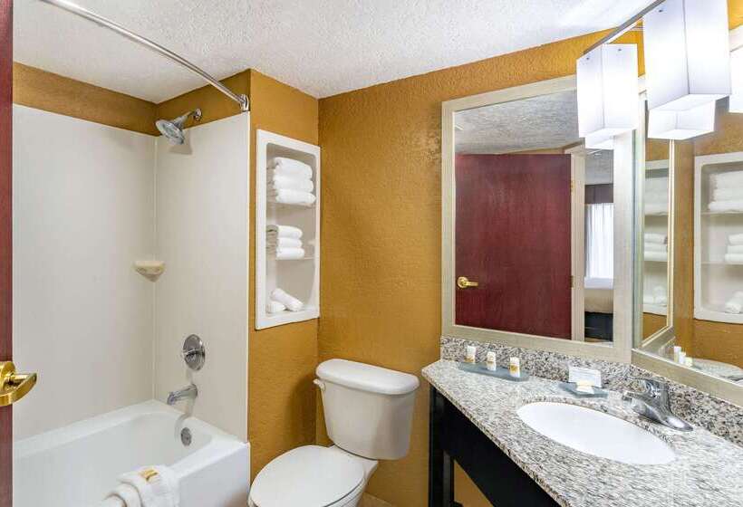 酒店 La Quinta Inn & Suites By Wyndham Hot Springs