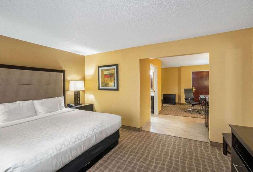 酒店 La Quinta Inn & Suites By Wyndham Hot Springs