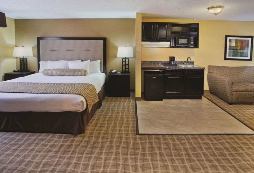 酒店 La Quinta Inn & Suites By Wyndham Hot Springs