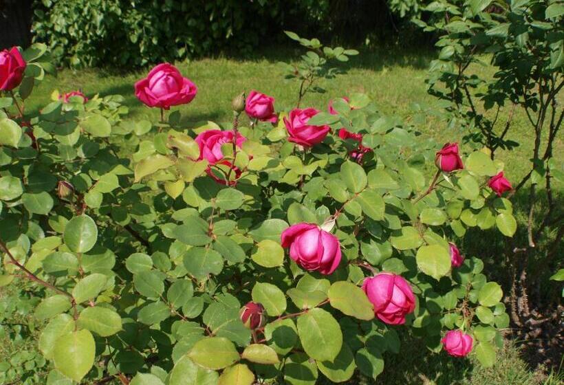 בית מלון כפרי Laios