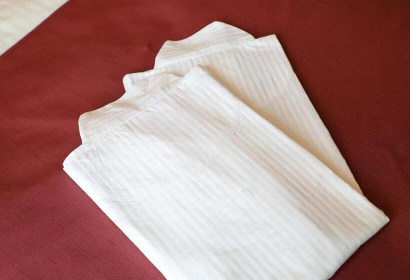 فندق Mystays Oita