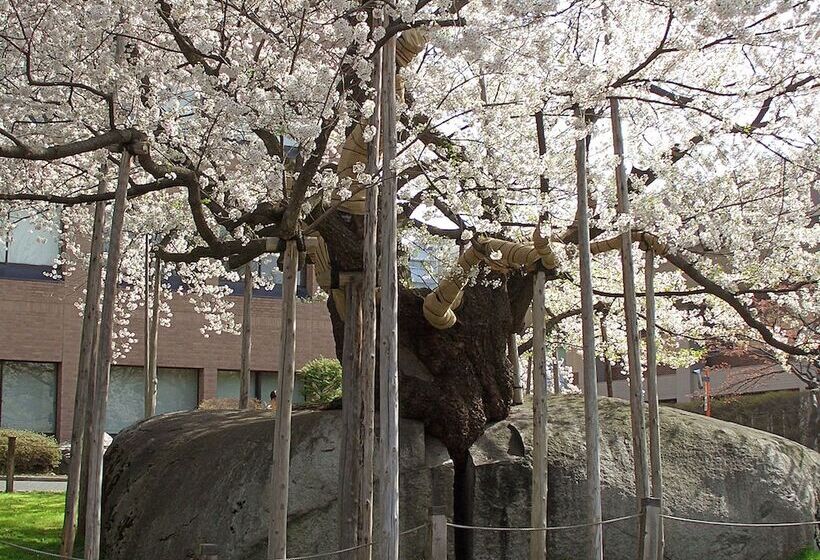 Отель Pearl City Morioka