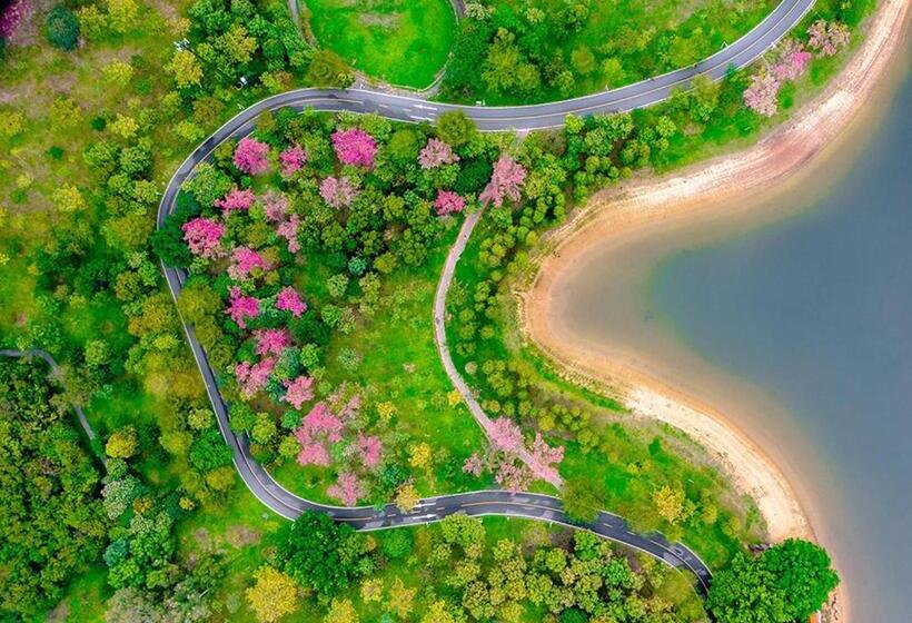 Otel Dongguan Royal Garden