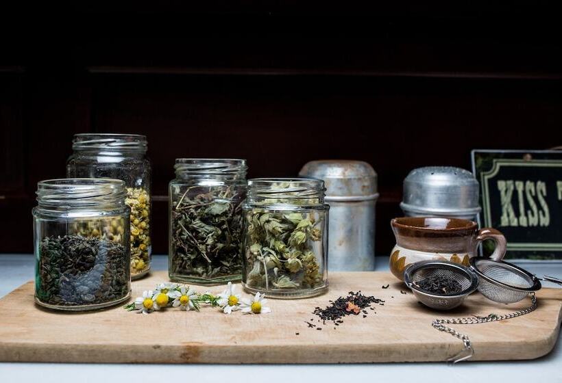 فندق The Artemis