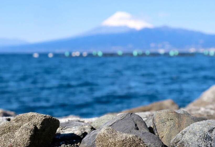 Отель Toyoko Inn Fujisan Numazu-eki Kita-guchi No.1