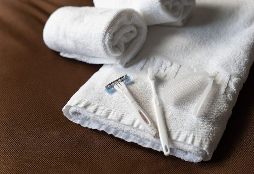 בית מלון כפרי Vista Atsugi