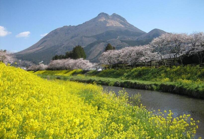 ホテル Yufuin Onsen Hasuwa Inn