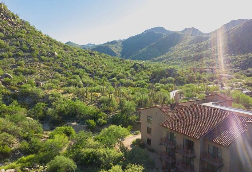 渡假胜地  The Ritzcarlton, Dove Mountain