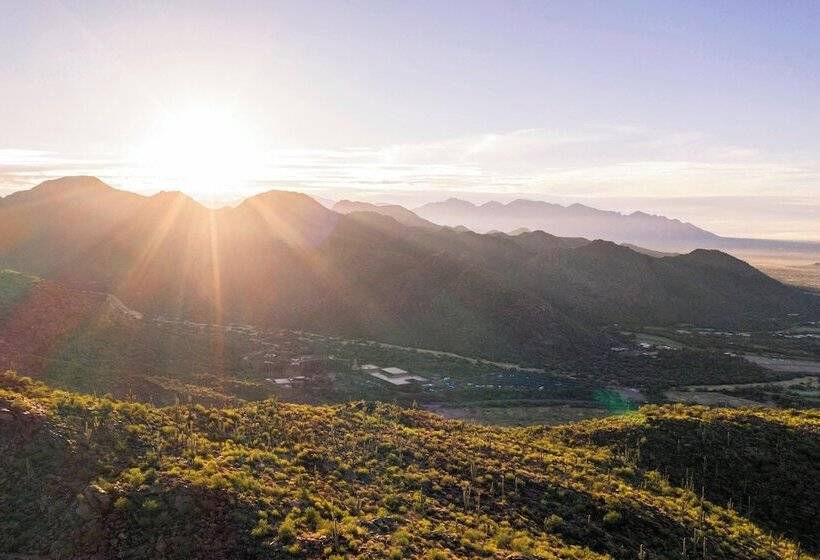 渡假胜地  The Ritzcarlton, Dove Mountain