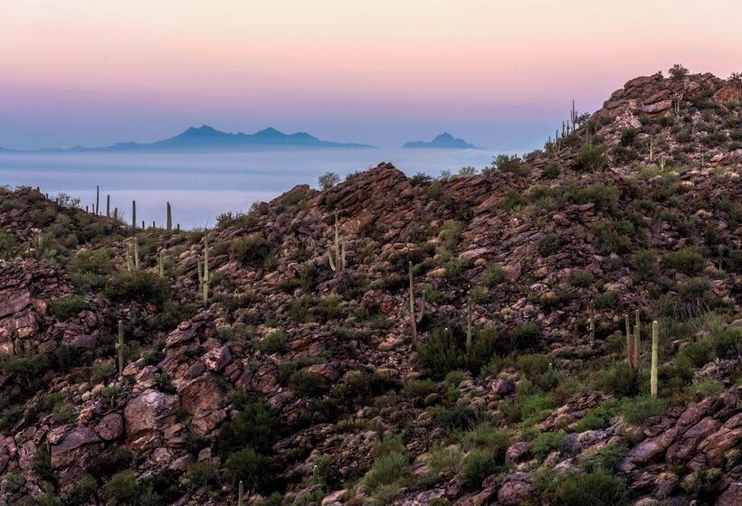 渡假胜地  The Ritzcarlton, Dove Mountain