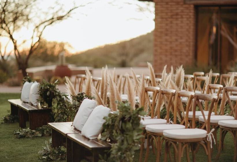 渡假胜地  The Ritzcarlton, Dove Mountain