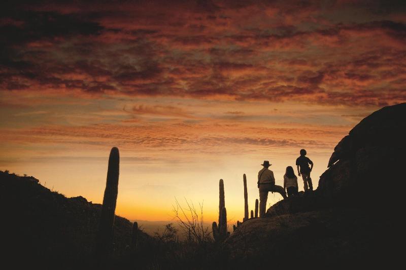 渡假胜地  The Ritzcarlton, Dove Mountain