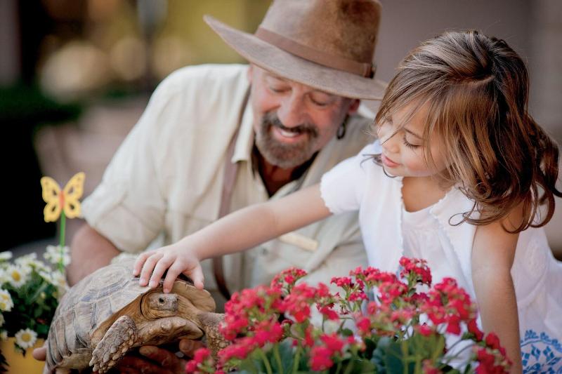 渡假胜地  The Ritzcarlton, Dove Mountain