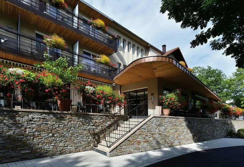 בית מלון כפרי Auberge Sundgovienne