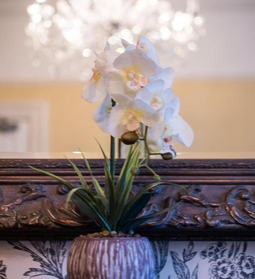 Bed and Breakfast Afon View