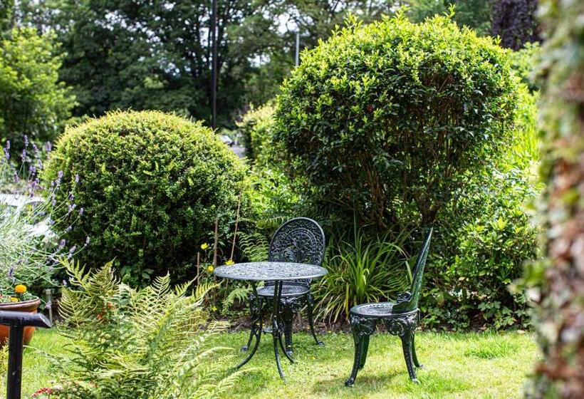 Bed and Breakfast Afon View