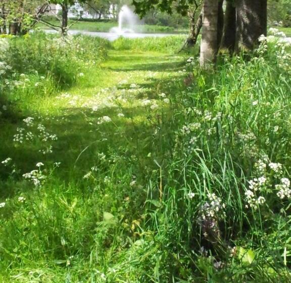 مبيت وإفطار Douglas House