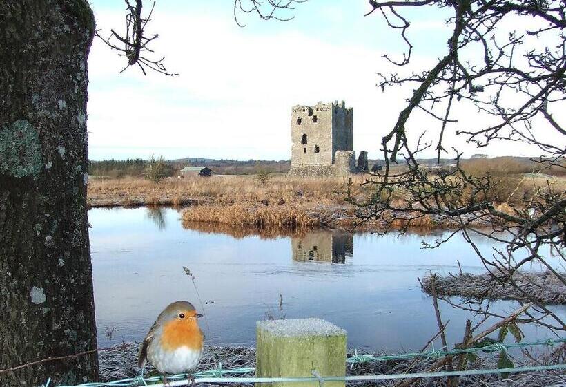 مبيت وإفطار Douglas House