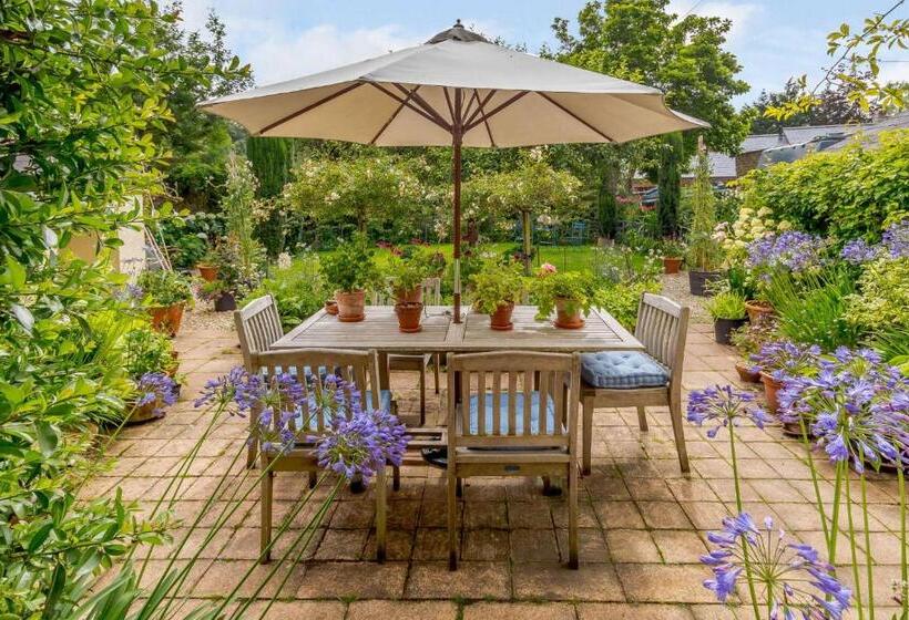 مبيت وإفطار Heron House