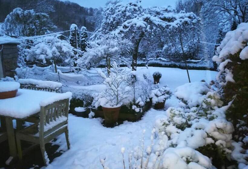 مبيت وإفطار Heron House