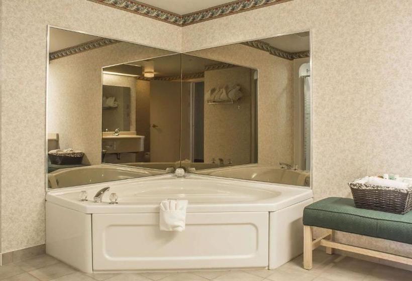 فندق Clarion  & Conference Centre