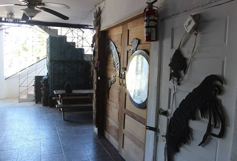 Отель Bachelor Inn