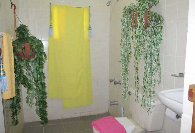 Отель Bachelor Inn