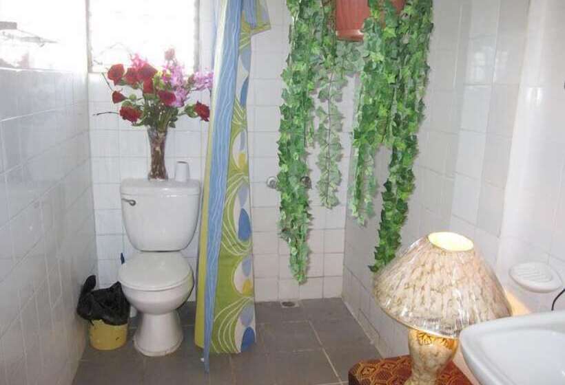 Отель Bachelor Inn